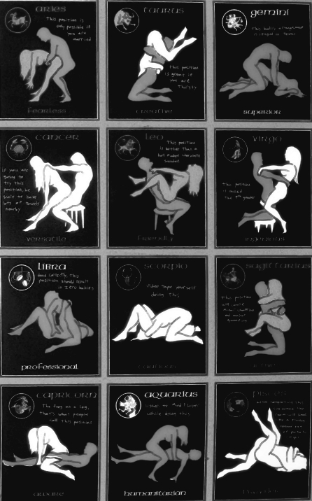 Zodiac sex position poster