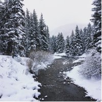 Aaron Ribner (@aaronribner) 's Twitter Profile