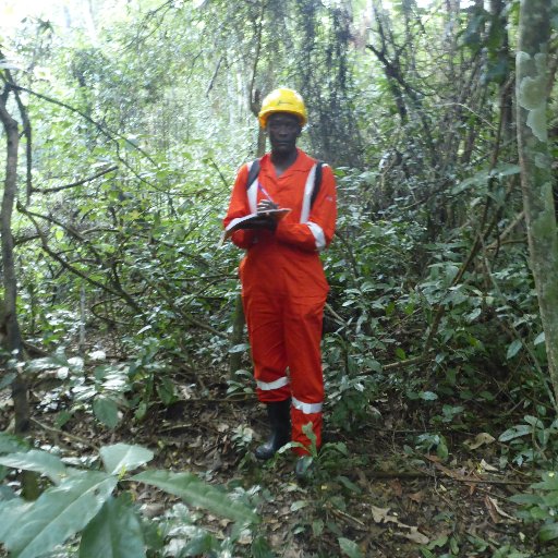 Am a natural resources ecologist, holding a masters of science in Botany (natural resources ecology and conservation), Honor's degree in Conservation biology