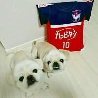 Megumi Kamionobe(@mu_mo10) 's Twitter Profile Photo