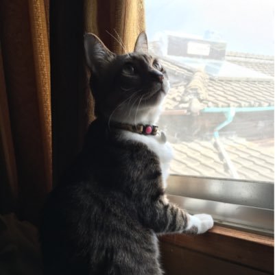 kikiarmad198's profile picture. 毎日幸せ♡ だと思う笑 私が幸せなら子どもも幸せにできる幸せの感じ方はみんなそれぞれ 人と比べる必要はないよ 自if I were a bird ,I want to fly to you