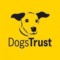 Dogs Trust Kenilworth 🐾(@DT_Kenilworth) 's Twitter Profile Photo