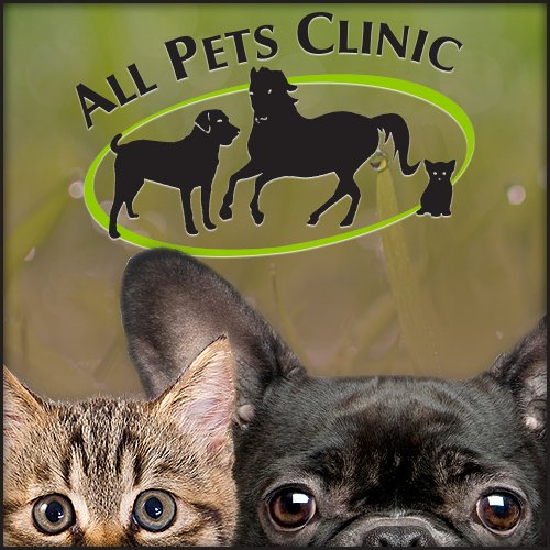 When your pet needs personal, professional medical care, come to All Pets Clinic in Lakewood Ranch!