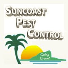 Suncoast_Pest's profile picture. Since 1993, Suncoast Pest Control has provided the state of Florida with affordable, reliable pest control solutions for homes and commercial businesses.