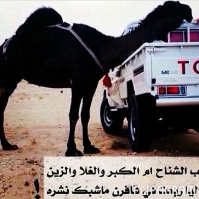 naser2000sn's profile picture. مرحبا ومسهلا بالجميع