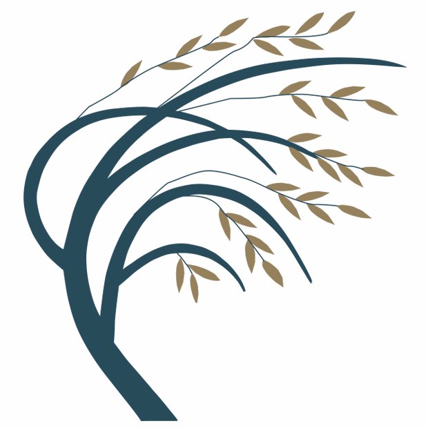 WillowHealthTPA's profile picture. Health Benefits Reimagined