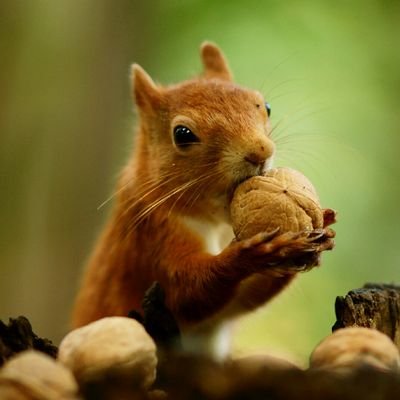 BartG1982's profile picture. 