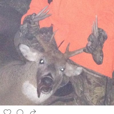 tgroen88's profile picture. hi