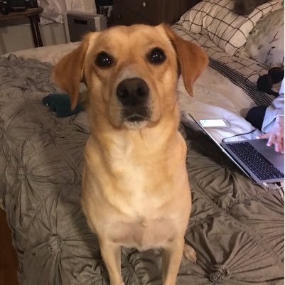 musgrave_tommy's profile picture. 