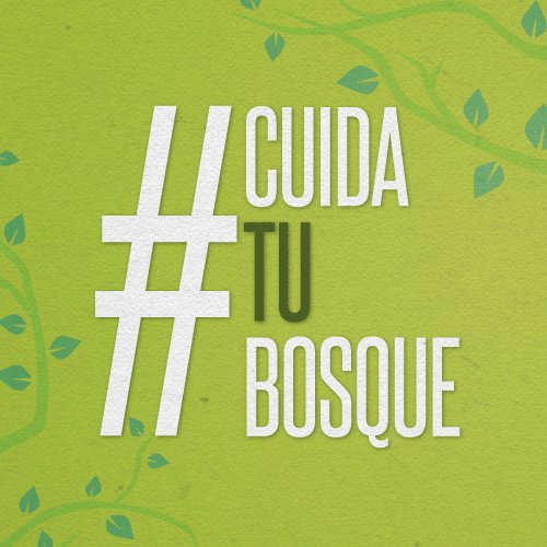 Somos una causa por la preservación de los bosques de Chile. 
https://t.co/gqNOM3r6E6 https://t.co/co7vT0Ja6p