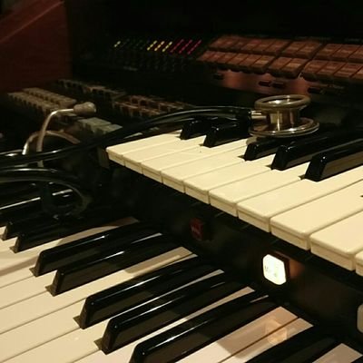 Organist. (Of the Electronic and biological kind)