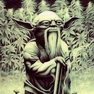 rcainx6's profile picture. 