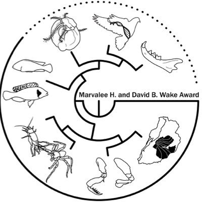 The official Twitter account for the SICB Division of Phylogenetics and Comparative Biology @sicbtweets