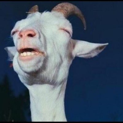 SlapNut_McGooz's profile picture. 