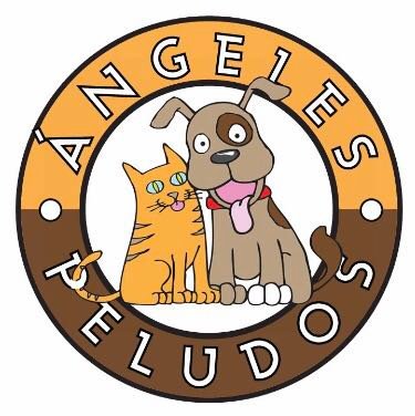 Fundación para la ayuda de los Peludos abandonados