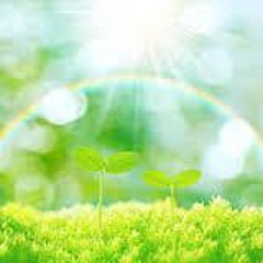 otasuke888's profile picture. 介護・医療・在宅等でお困りの方！あなたを助けてくれるのは誰？ 助けてくれる人を一緒にみつけましょう。 ご相談は（DM)ダイレクトメールで。