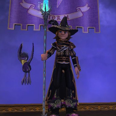 Wizard since 2009