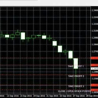 Iam trader, also as consultant in Forex Trading, and manage the account for trading in any brokers.