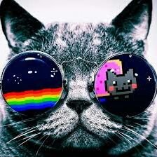 androidtutoria5's profile picture. i like me today is god beutifull