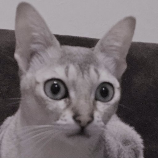 ぱんだ やる気ゼロ 私はつわり知らずで 先輩ママの話とはずいぶん違うなと思っていたけれど 正直言って 今更知らされたくなかったです 最新科学で明かされた つわり と Iq の関係 絶対に賢い子になる子育てバイブル ダイヤモンド オンライン ぱんだ やる気ゼロ 私はつわり知らずで 先輩ママの話とはずいぶん違うなと思っていたけれど 正直言って 今更知らされたくなかったです 最新科学で明かされた つわり と Iq の関係 絶対に賢い子になる子育てバイブル ダイヤモンド オンライン