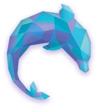 DolphinBI Profile