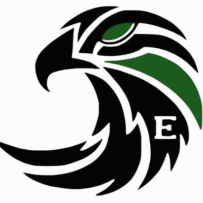 Exeter_Falcons's profile picture. Exeter based Flag American Football team. Now competing in the BAFA Senior Flag Football League. Ages 16+, any abilities. Newcomers always welcome.