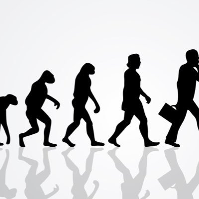 SebastienMoss's profile picture. Entrepreneur en devenir, expérience client, marketing, stratégie d'entreprise, gestion, GSS culturelle, GMS, CHR