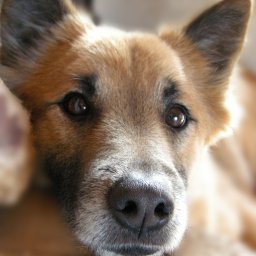 yujauja's profile picture. Loves open source. An embedded software / tool engineer. A Mercurial committer.