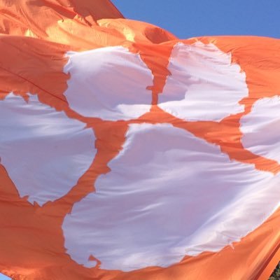 themojomama's profile picture. 