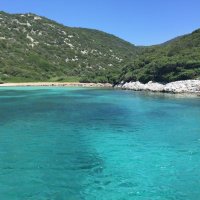 burcin pehlivanoglu (@burcinp) 's Twitter Profile