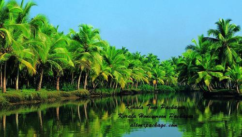 Kerala tourism : Kerala honeymoon package