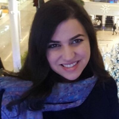 Special Assistant to the UN Deputy Special Coordinator, Resident and Humanitarian Coordinator for Lebanon