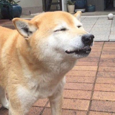 salnPmn9T5fP6ez's profile picture. お菓子、スイーツ、料理、可愛い物大好きです❤️アニメ、マンガ、も好きです特にfateが大好き(≧∀≦)同じ趣味の人といっぱい仲良くなりたいな(*´ω`*)