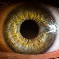 Eye Of The Idol (@eyeoftheidol) 's Twitter Profile Photo Eye Of The Idol (@eyeoftheidol) 's Twitter Profile Photo
