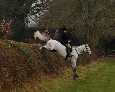 Manager of the National Stud