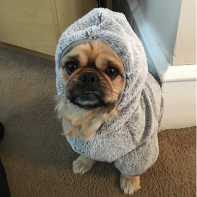 SuzanneCarr45's profile picture. 