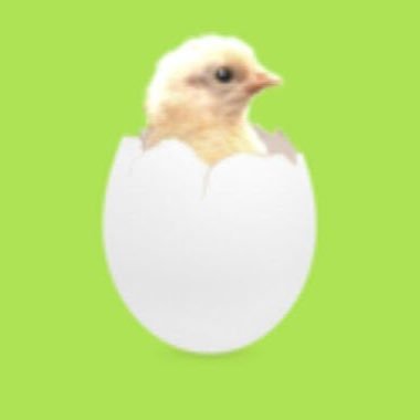 あややん