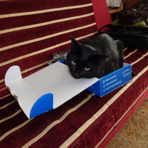 polski_kibic's profile picture. #MuremZaPJK #MuremZaPAD #MuremZaPBS #MuremZaPMM #MuremZaPKN