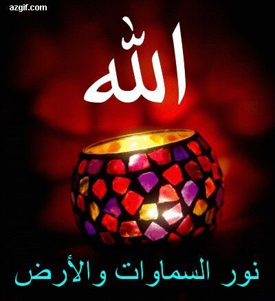 hananaswety's profile picture. 