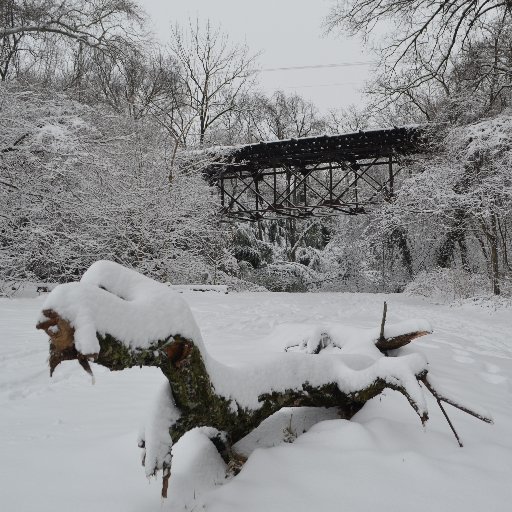 A group of citizens seeking to restore the Glen Echo Trolley Trail between Georgetown and the Palisades for cyclists & pedestrians