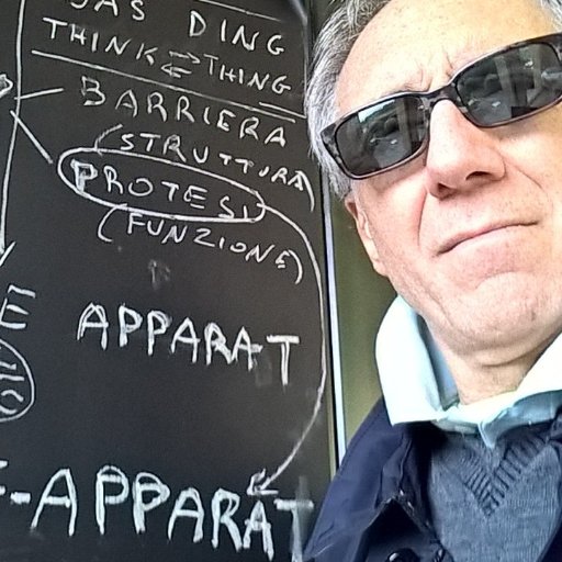Inventore del PBP, Paradigma Bionico Protesico, evoluzione del modello cyborg per aggiornare l'identità e curare le nuove forme della soggettività con l'arte