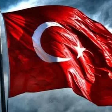 ceylan391's profile picture. 