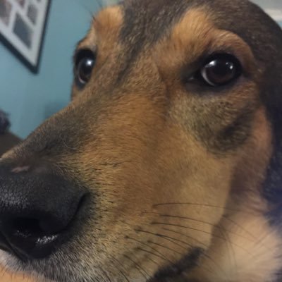 sammygeen's profile picture. Black Lives Matter. Trans Lives Matter. She/her. Dog mom. Gaymer.