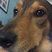 Sammy (@sammygeen) Twitter profile photo