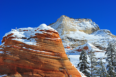 seezion's profile picture. 