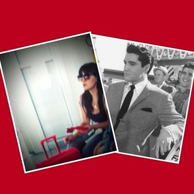 danivesciacca's profile picture. ...excusatio non petita accusatio manifesta...🎓