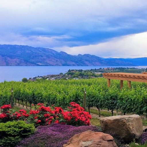Okanagan Valley Vagabonds - where local travel tips pour faster than Okanagan wine. View responsibly, share recklessly.