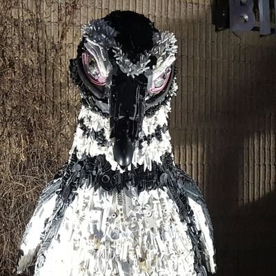 nolson73's profile picture. 