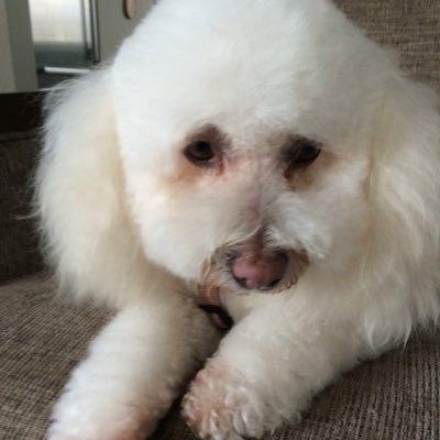 lw31951164's profile picture. syzgyzy