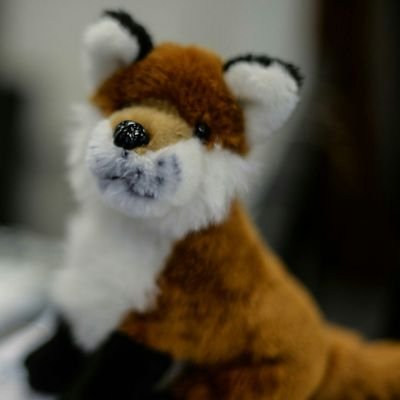 romeoferox's profile picture. The foxy figurehead of Ferox Security.